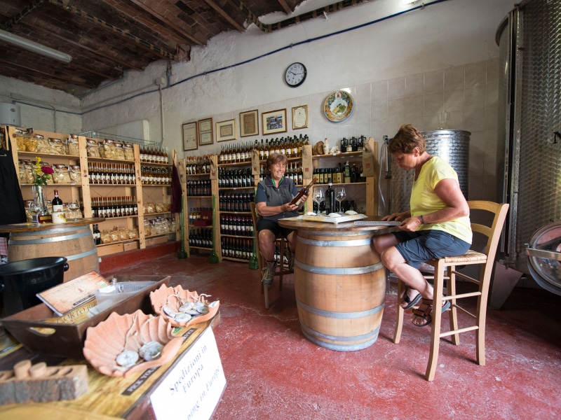 Azienda Agricola Casanuova - Pellegrini in sosta lungo la Via Francigena