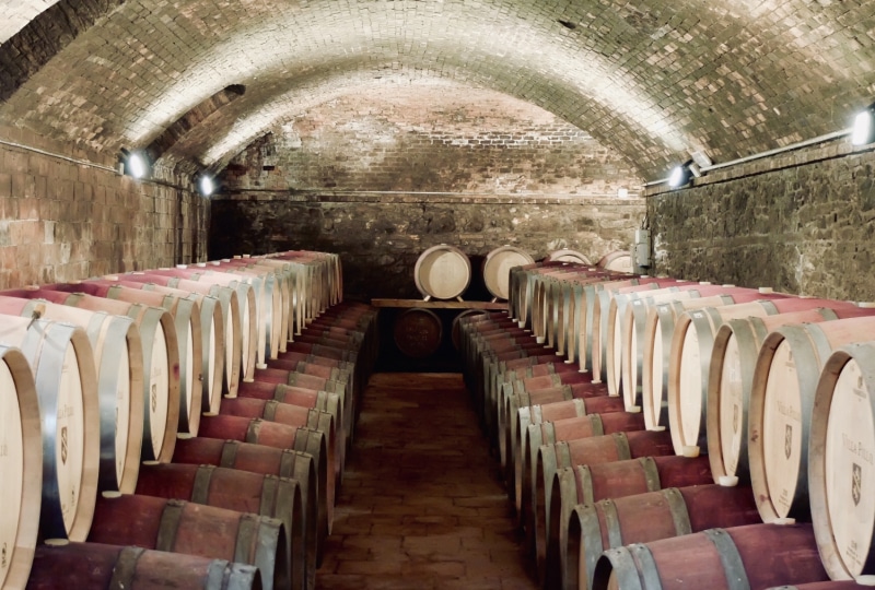 Villa Pillo - Cantine Storiche