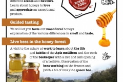 Honey-experience-retro_page-0001