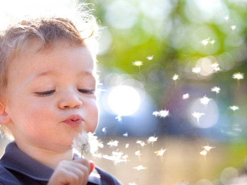 Bambino e Soffione - A kid and his dandelion