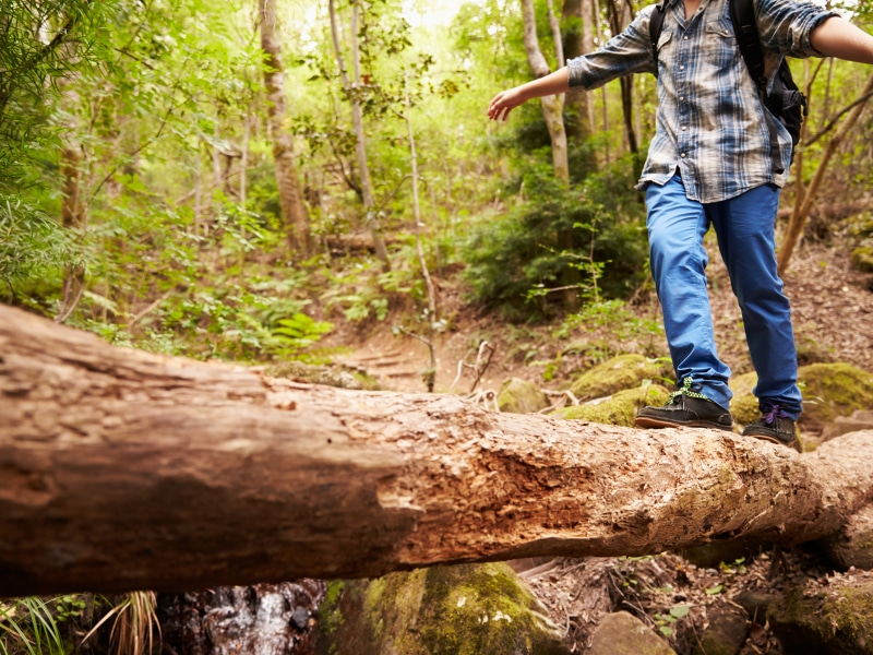 Avventure nel bosco- Kid's adventure into a forest