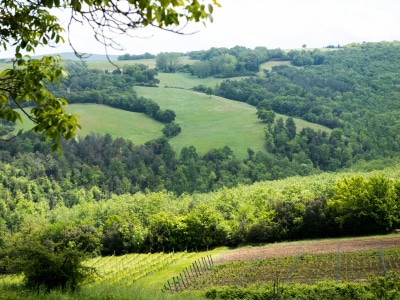 Pietralta_View