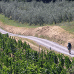 Gambassi Terme Via Francigena