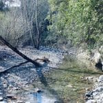 Gambassi Terme_Torrente Casciani_Bollori